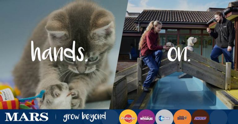 ΘΕΣΗ ΕΡΓΑΣΙΑΣ: JUNIOR BRAND MANAGER PETCARE-MARS
