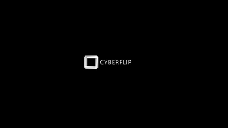 CYBER RESILIENCE PROFESSIONAL – CYBERFLIP SA