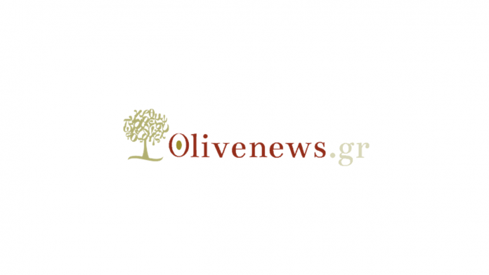 olivenews-img-career-1